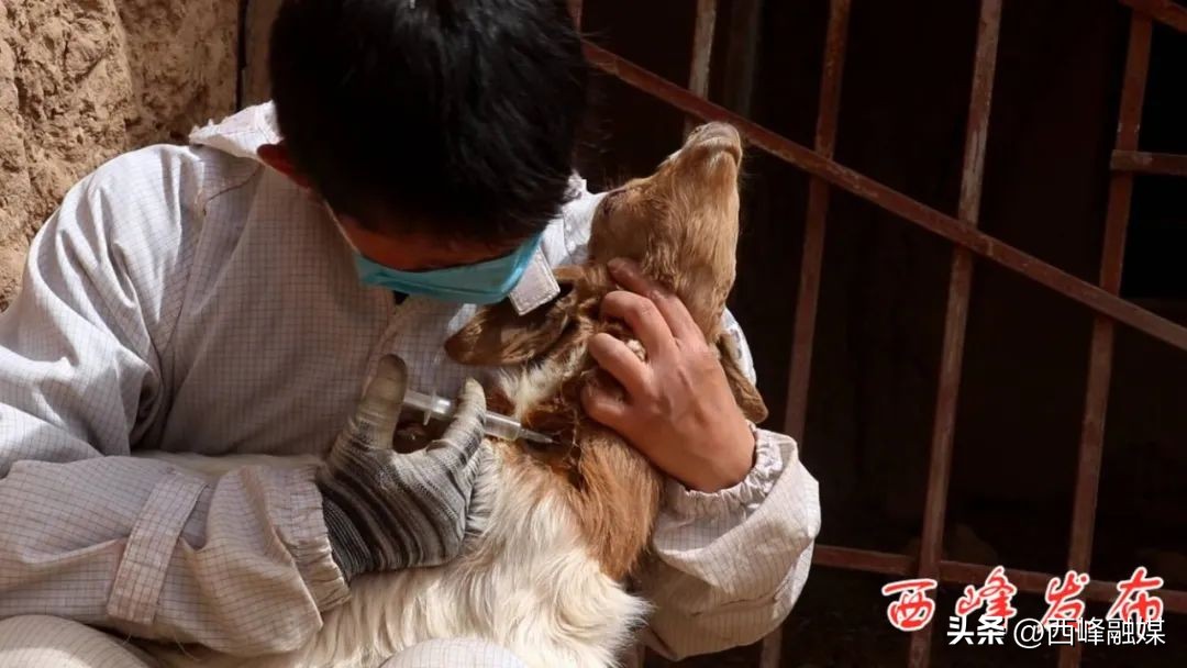 帅龙龙是干什么的,帅龙龙