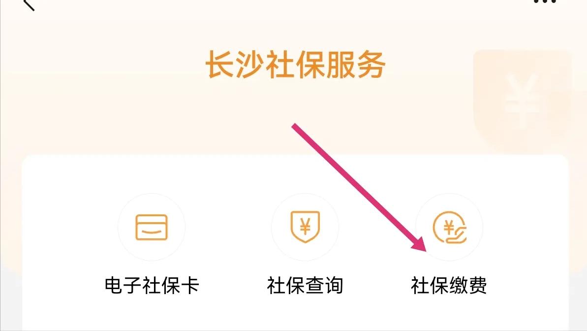 农村人缴纳城乡居民保险可以吗,农村居民保险从哪一年开始交的