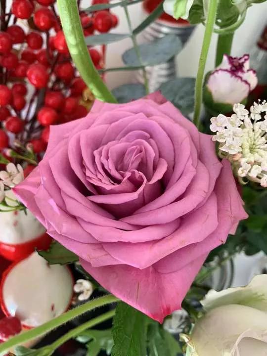 岁月斑驳留下来的都是静好时光,岁月斑驳愿时光静好