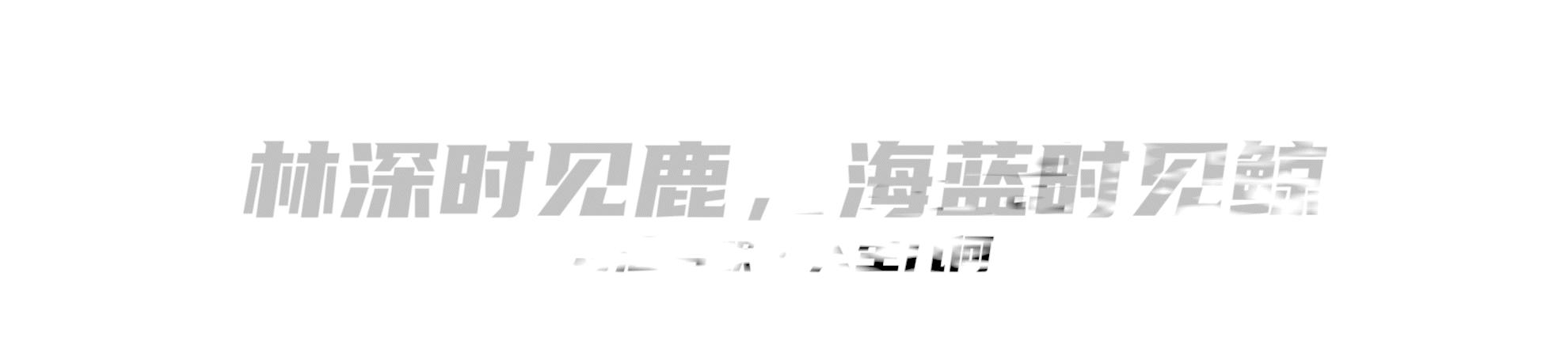 徐根宝喊范志毅,范志毅去世