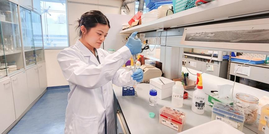 香港发明专利注册,香港发明机器人