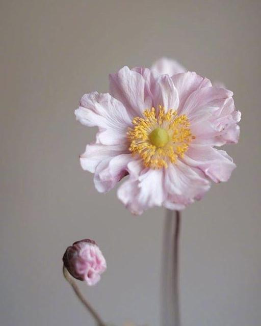 走到哪里都是气氛组,走到哪里都是一个人习惯了孤独