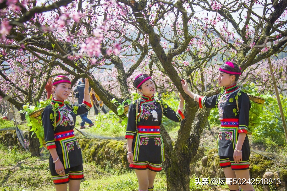 宁德市溪塔葡萄沟旅游景区,穆云乡溪塔葡萄沟