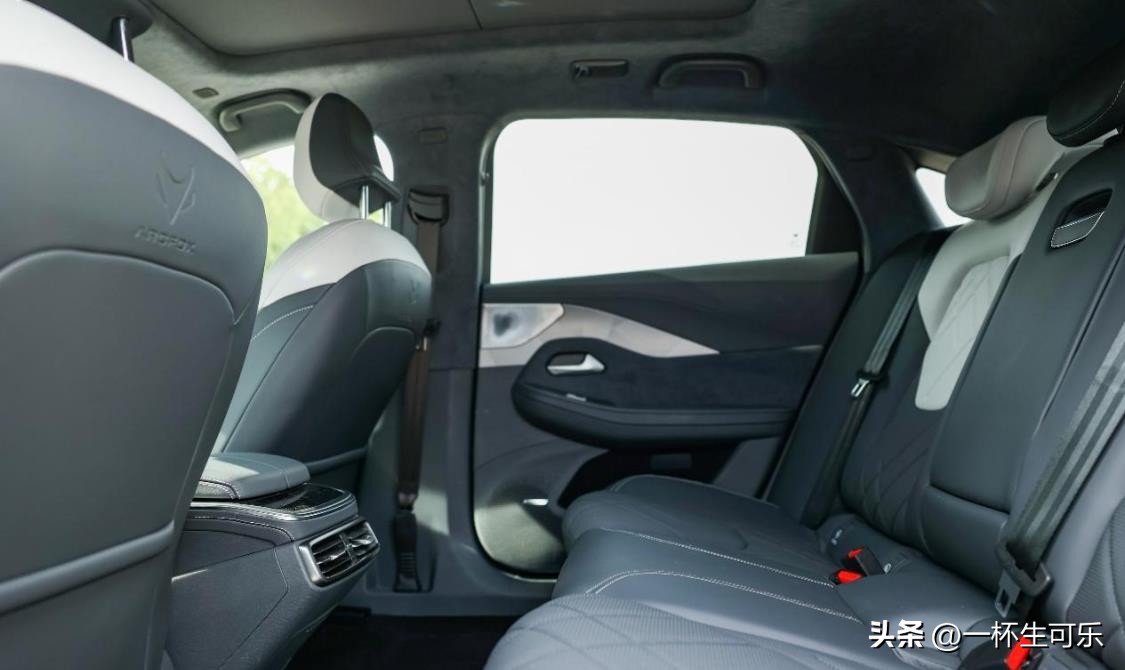 极狐阿尔法s森林公园版,阿尔法极狐s森林版高清图