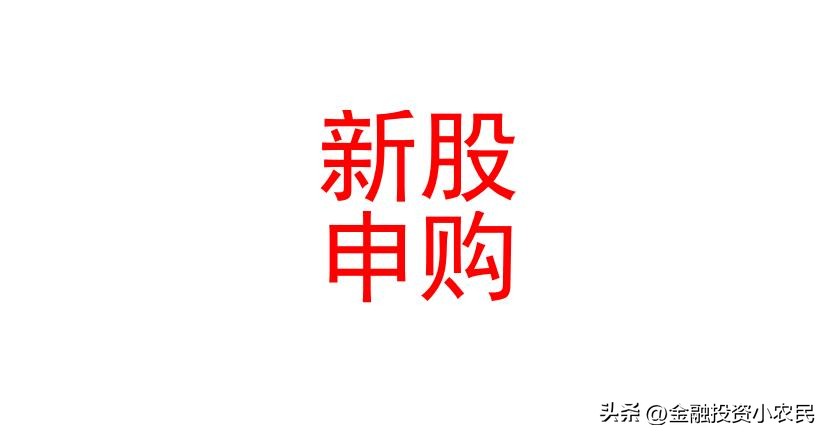 致欧科技值得申购吗,致欧科技新股分析