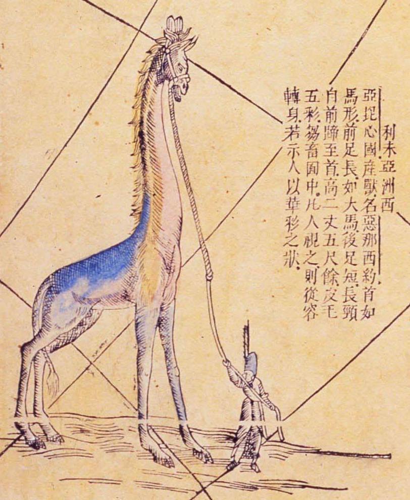 世界都有哪些神奇的动物??「坤舆全图」告诉你