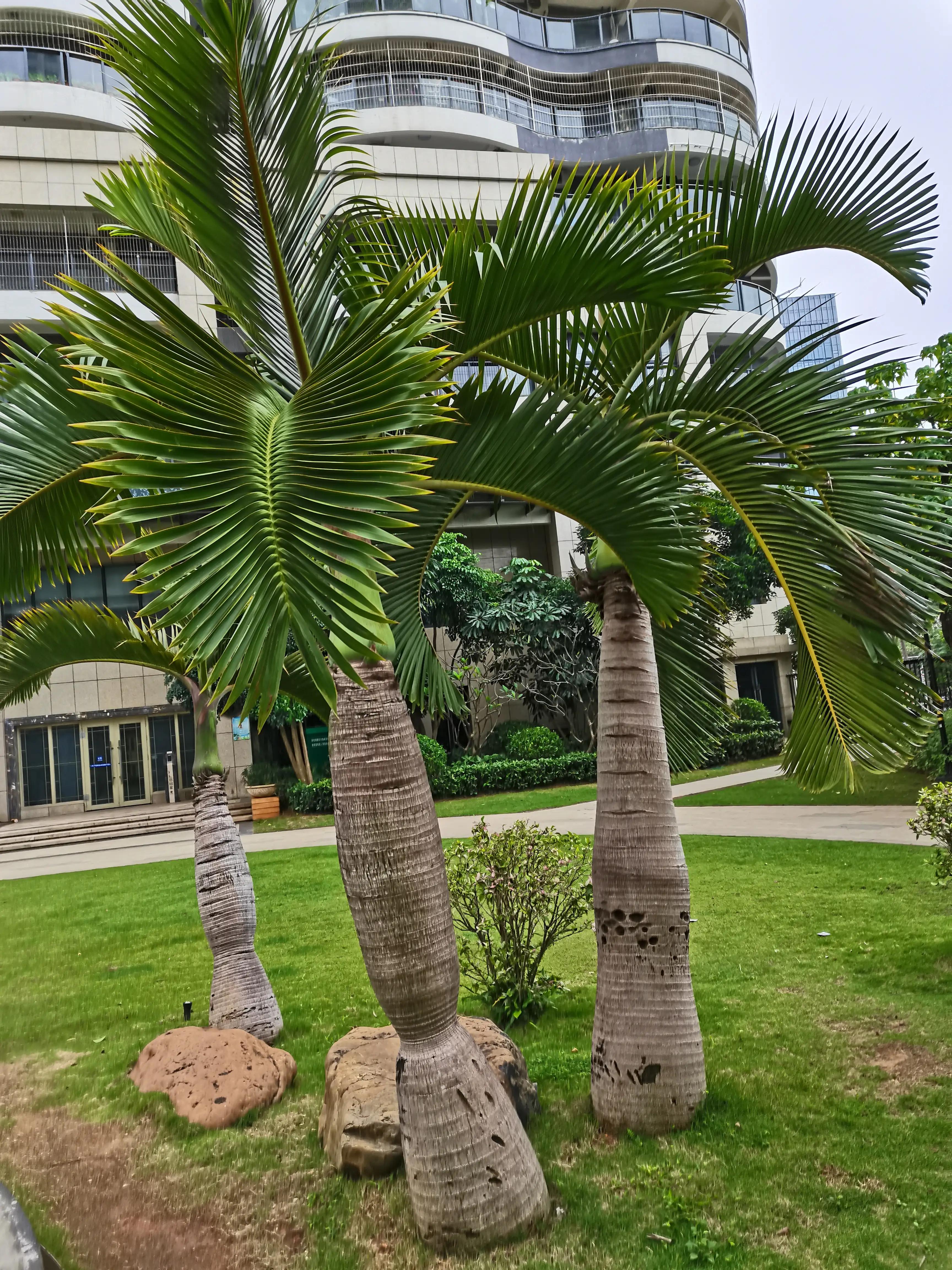 在这个世界上有多少与“老”字搭界的成语、俗语