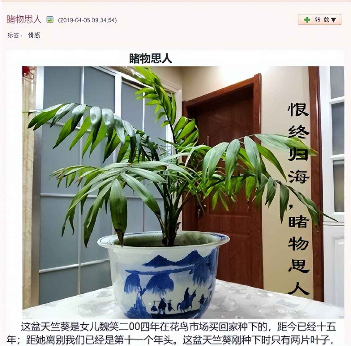 主持人魏笑最后结婚了吗,主持人魏笑生前最后三天