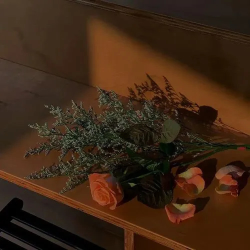 男人娶两个老婆回家，相处模式再次刷新我的三观