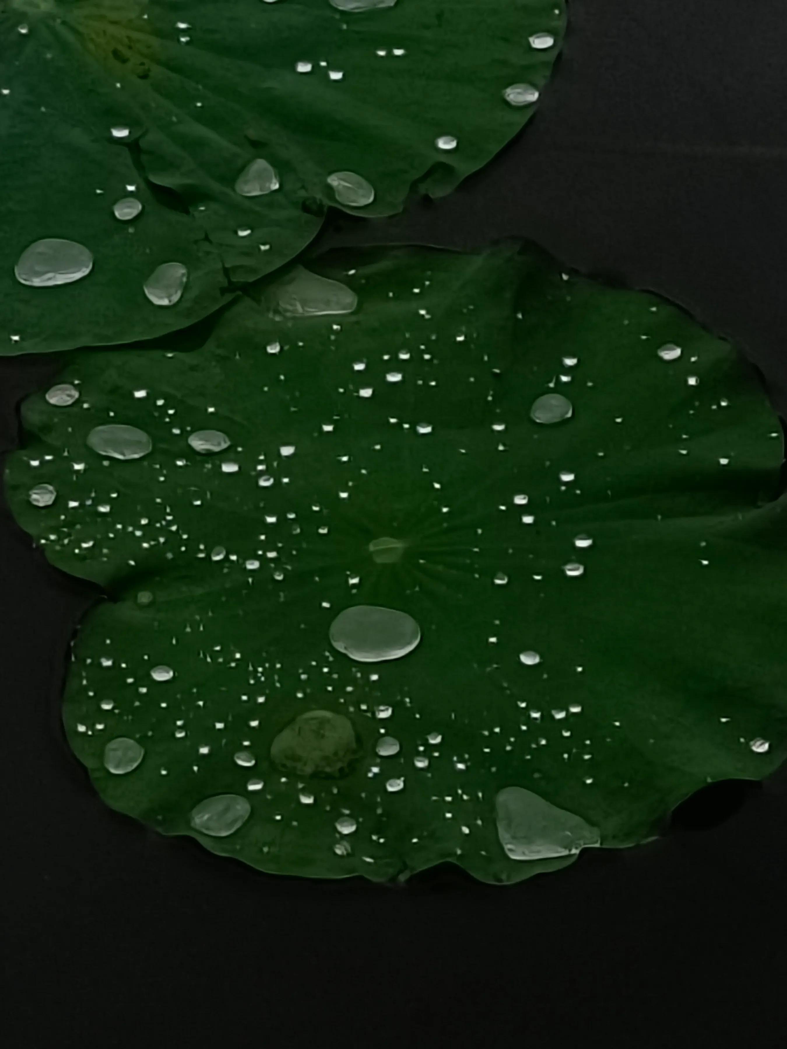 手拍世界近期作品,手拍世界完整版视频