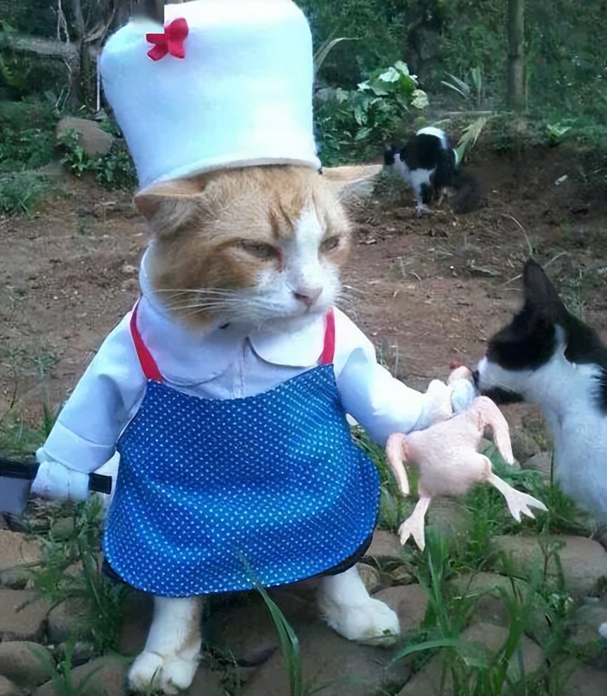 10年的湿疹终于找到了方法,终于摆脱了鼻炎的困扰