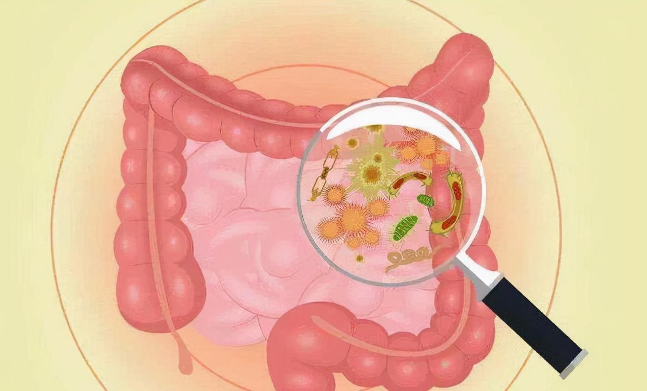 人类排泄物是臭的吗,人的排泄物为什么是臭的