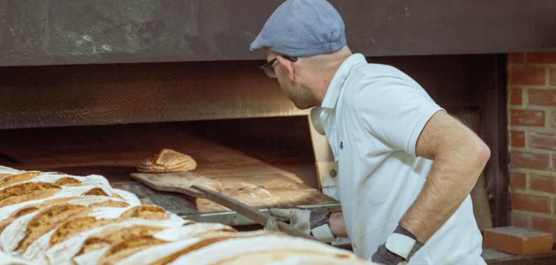 洛克纳案体现的制度,洛克纳诉纽约州案