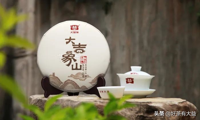 茶语春秋中国茶文化讲了什么,茶话春秋