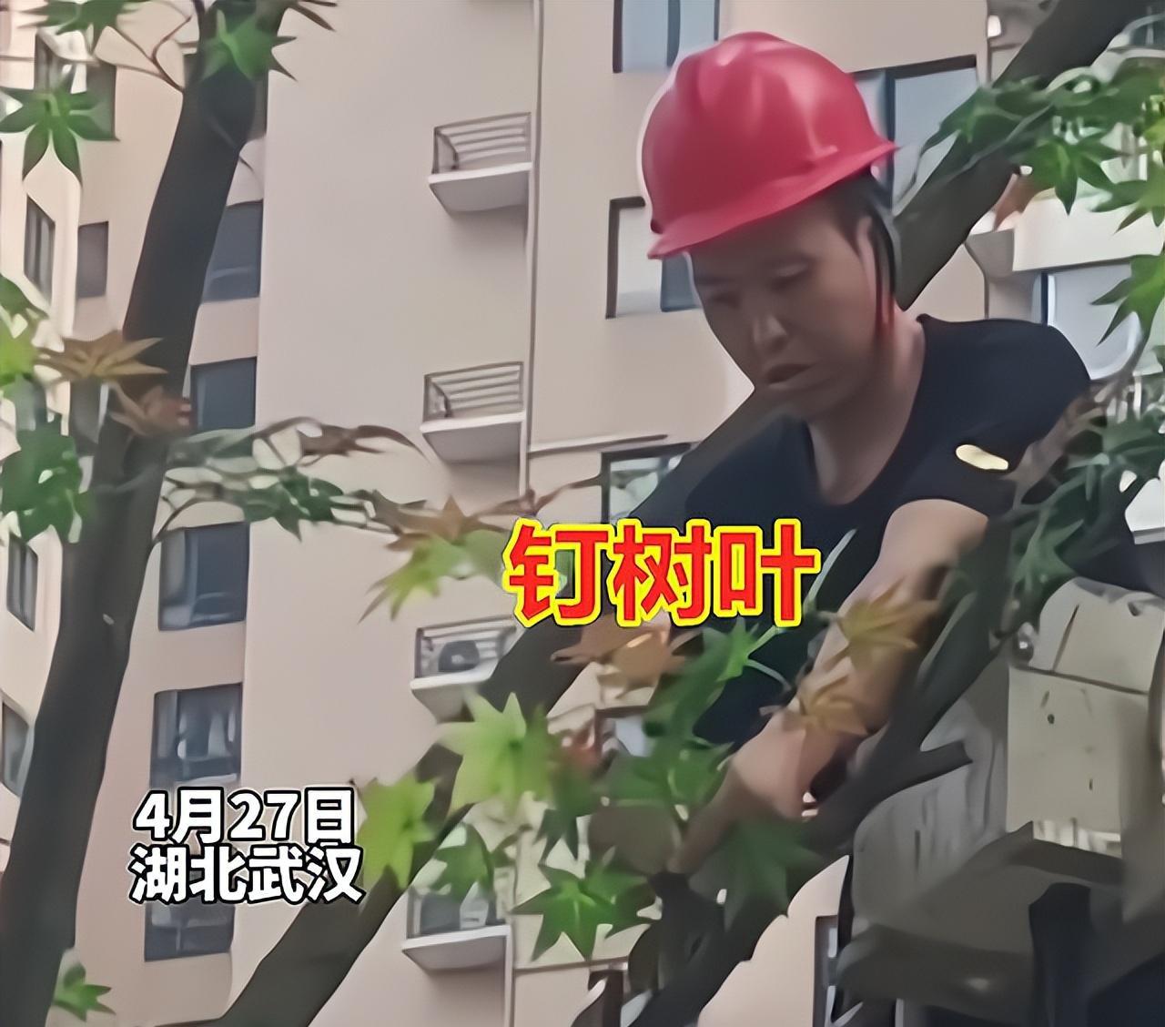 开发商冒充业主收房,开发商给买房者造假资料