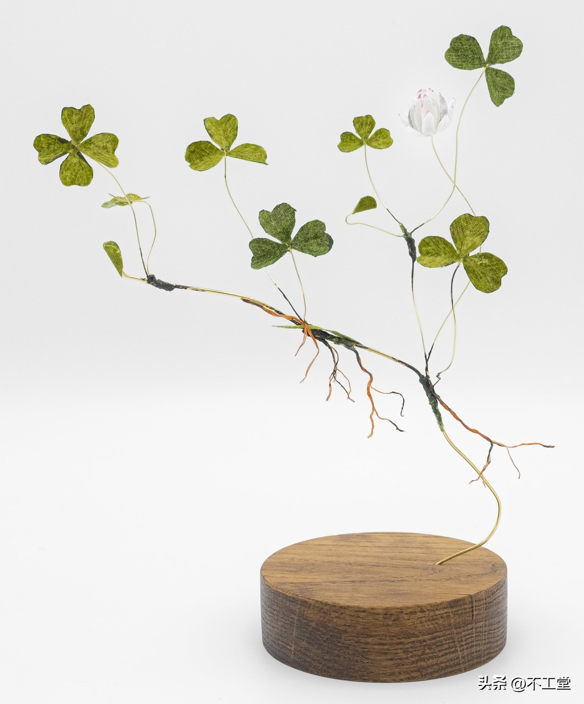 手工压花康乃馨植物标本,中学生手工植物标本