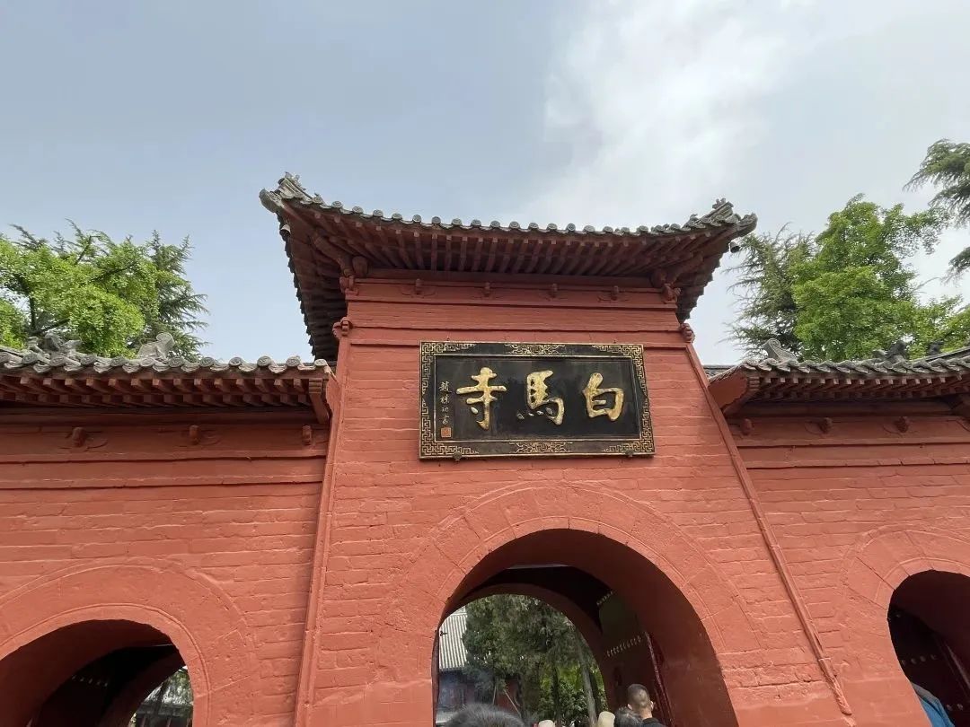 设计知旅第64期丨郑在洛地：设计师职业探索走进神都洛阳