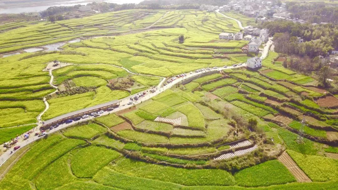 城郊村乡村振兴示范村典型案例,乡村振兴与旅游结合的优秀案例