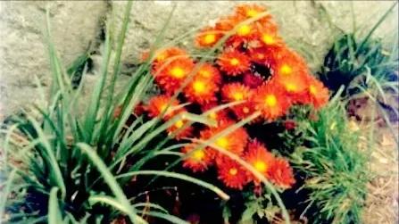 面对困难迎难而上的励志句子,人生当中最艰难的时候