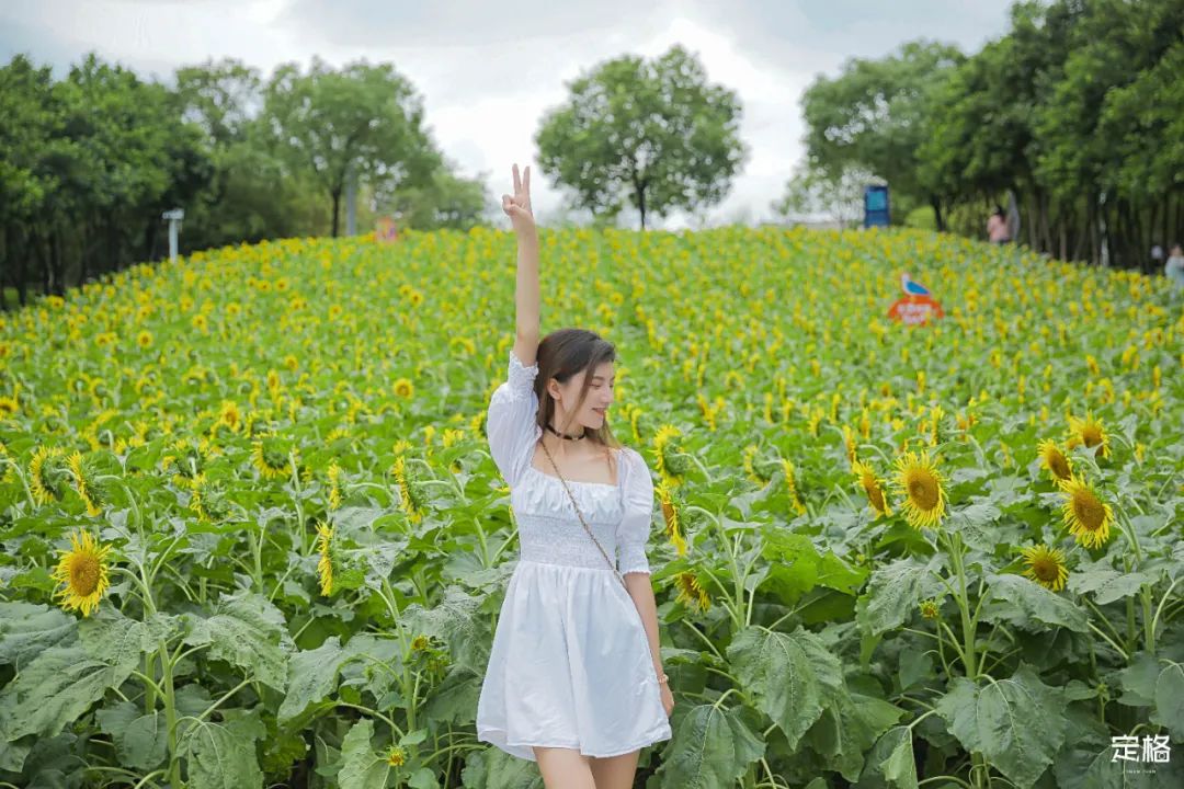 深圳地铁可以直接去的免费景点,深圳免费地铁直达景点12号线