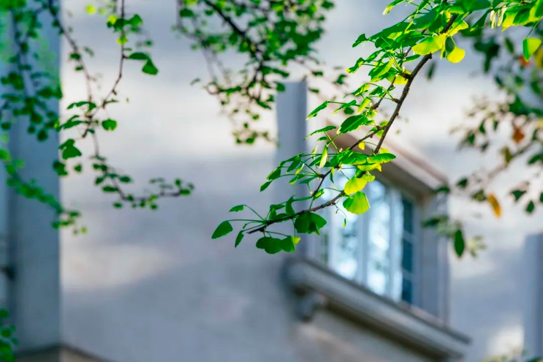 美美美，在阳光灿烂的成电遇见你~