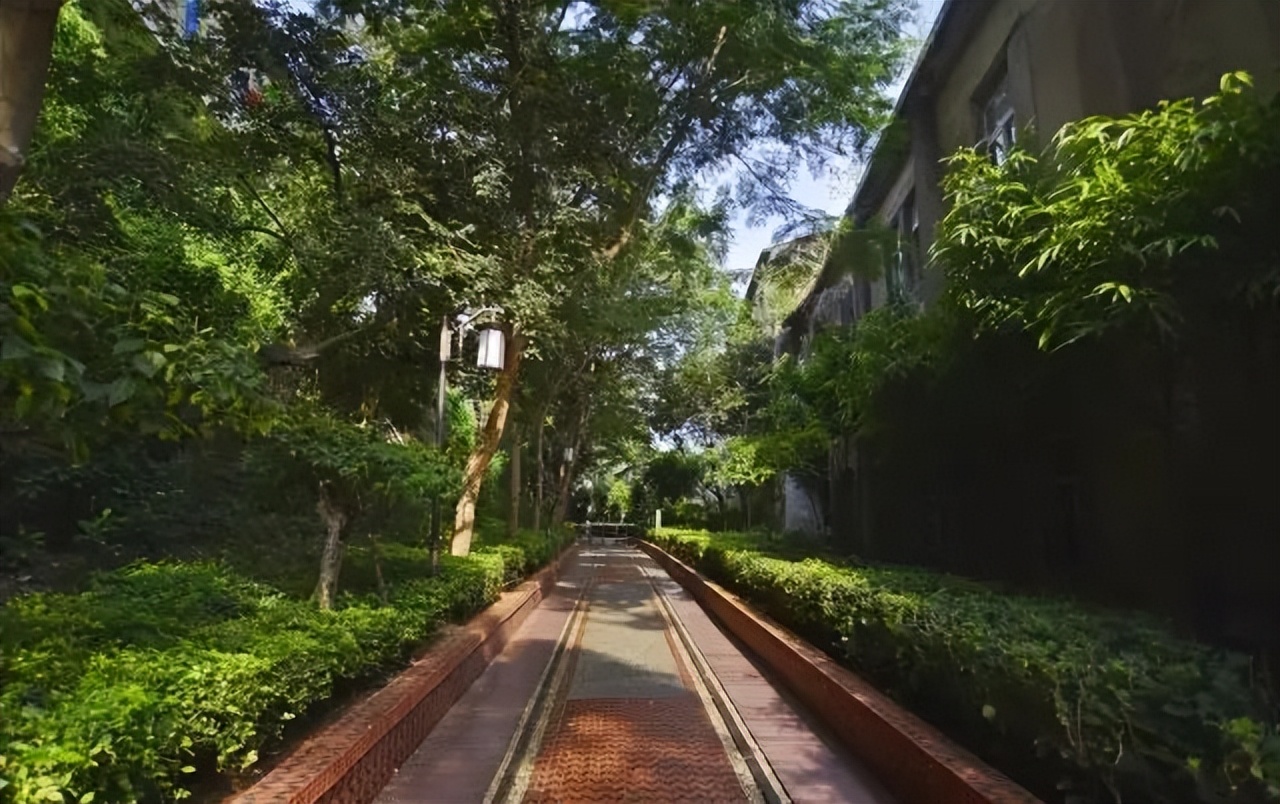 厦门带孩子去哪里玩,厦门带女朋友去哪里玩