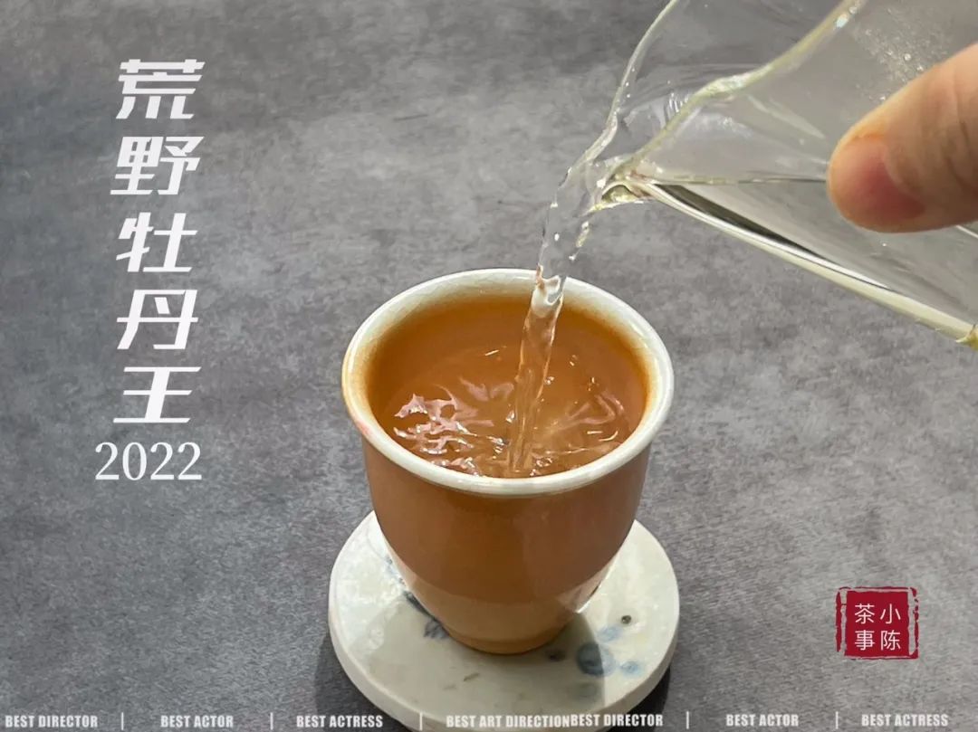 什么茶最适合夏天喝茶,夏天喝哪几种茶比较舒服