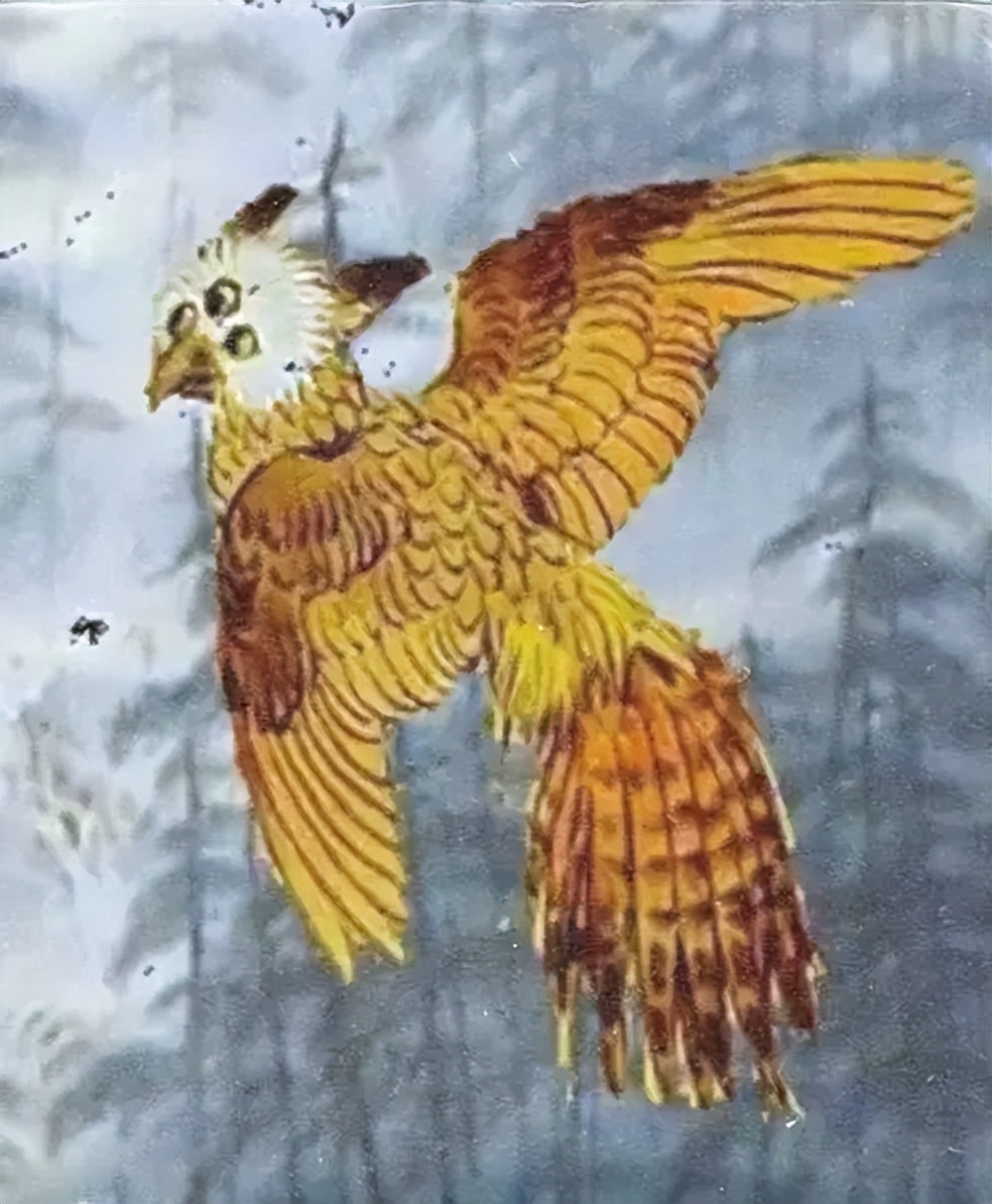 妖怪名单500集,妖怪名单第51集完整版