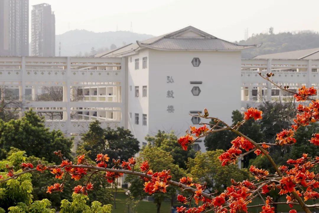 盘点名气不大却实力强大的学校,未来几所发展较好的学校