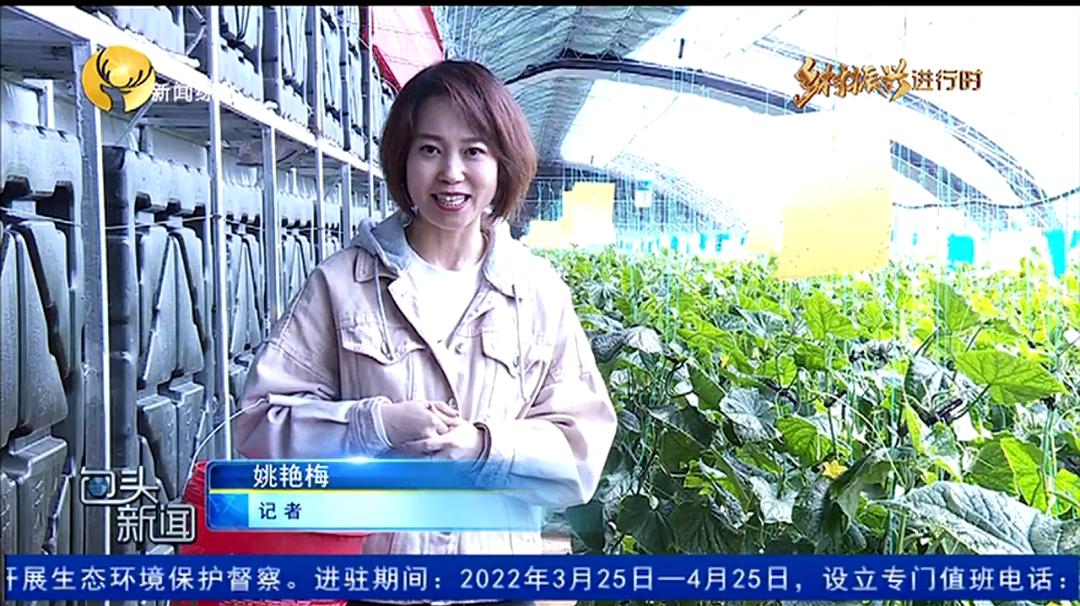 乡村振兴翻开乡村生活新篇章,乡村振兴如火如荼