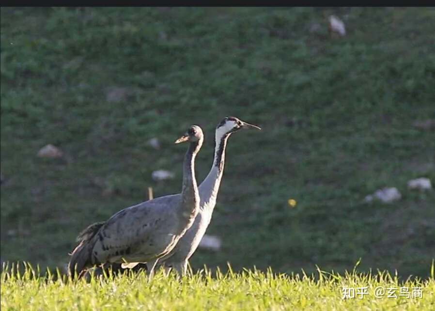 山海经2012白话全译彩图版pdf,山海经海外西经是指哪里