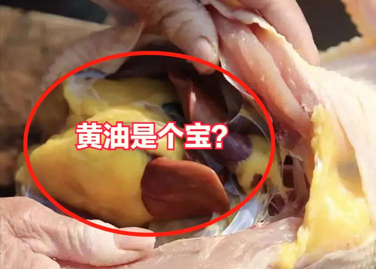 家里杀鸡时，鸡肚里有一块黄油，该扔掉还是吃掉？看完长见识了