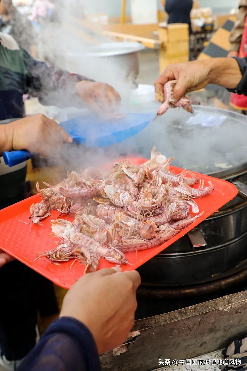 中国哪里可以吃超大皮皮虾,中国吃皮皮虾最好的地方