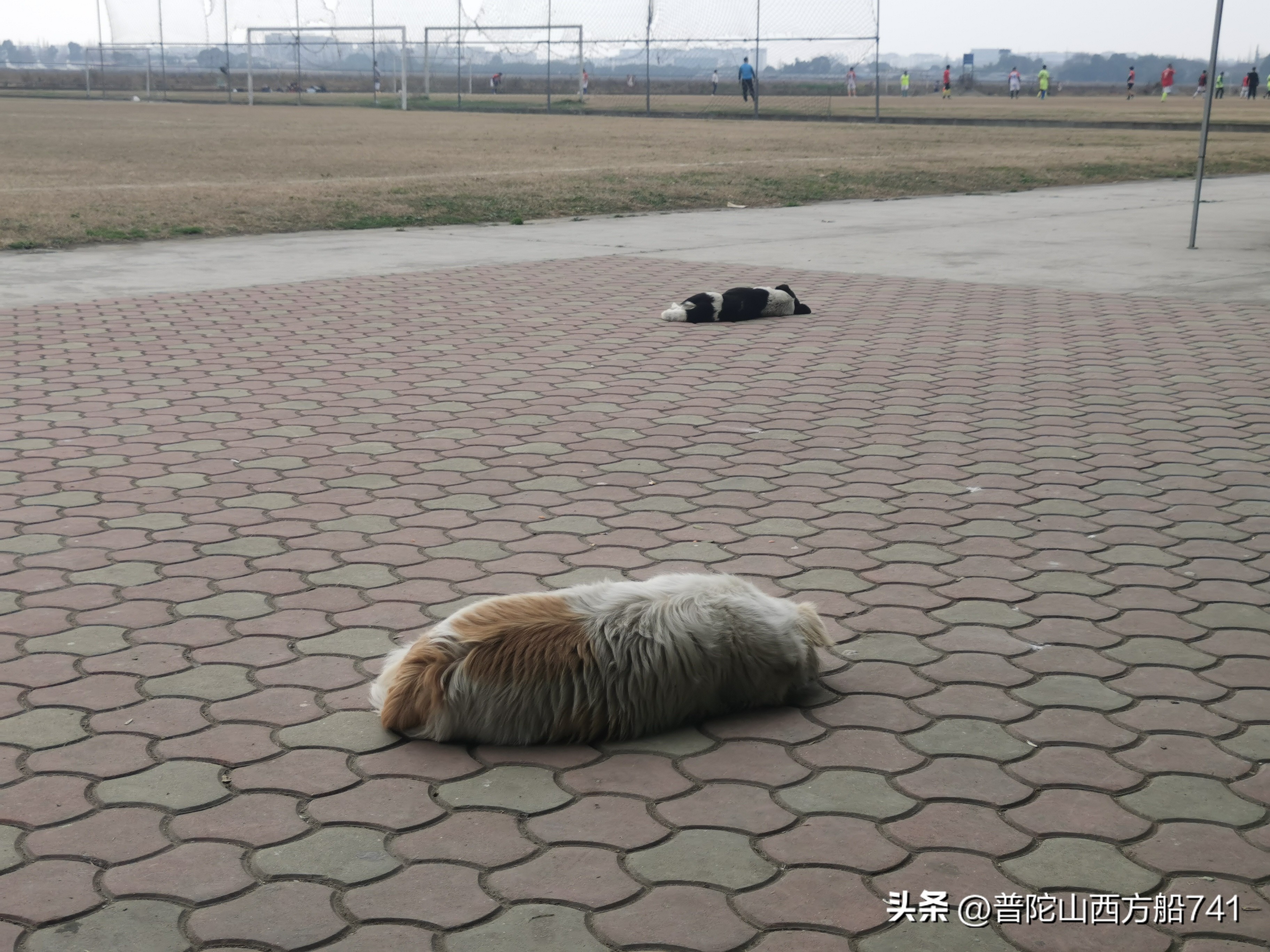 太平寺足球的故事（兄弟）