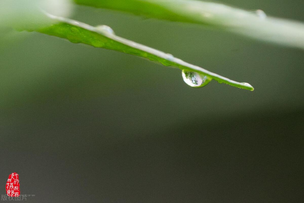 公众号阅读量最新消息,公众号阅读量是怎样来的