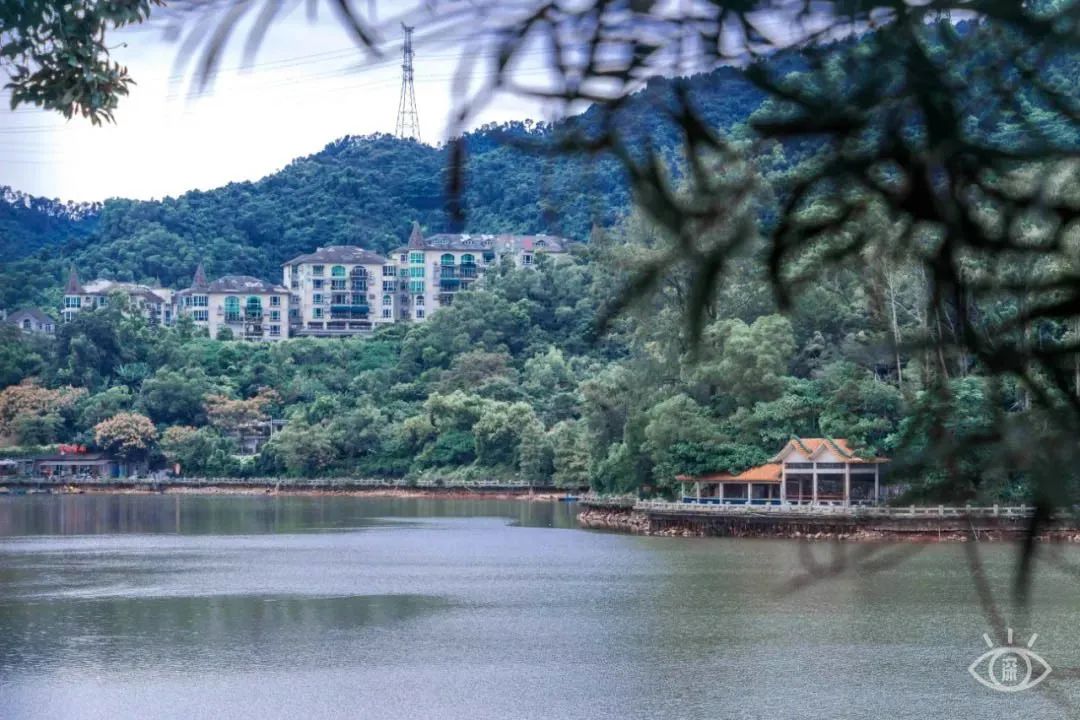 十大风景最美的湖泊排行榜,深圳风景美丽的湖泊