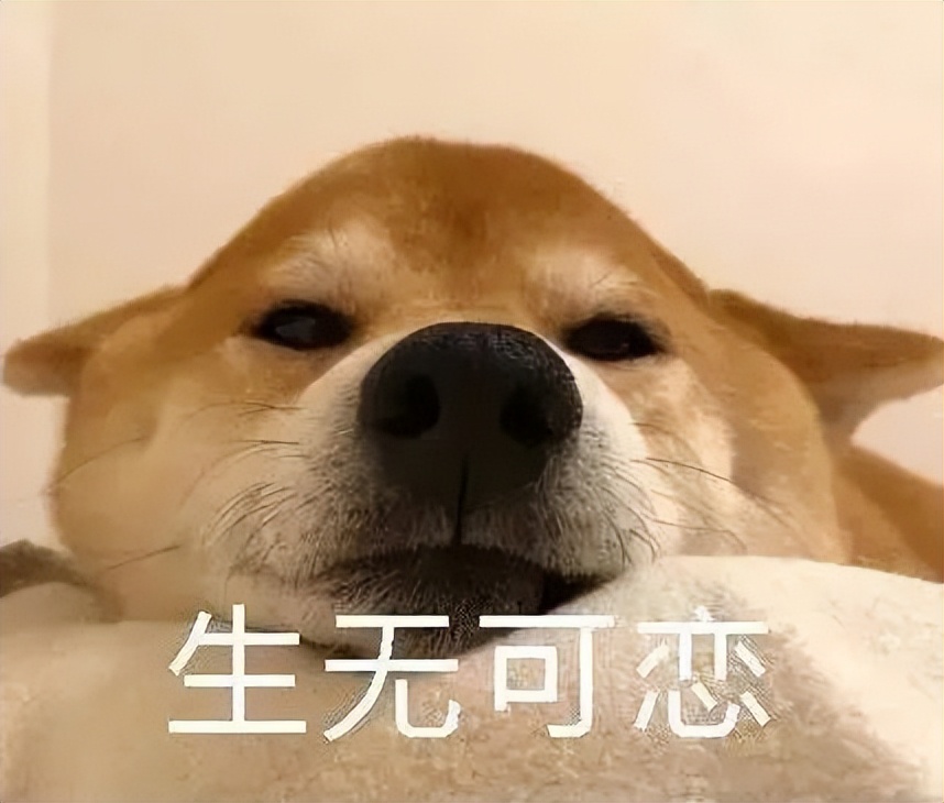 痛风病人平日吃啥药可以预防,痛风患者长期服用什么药物