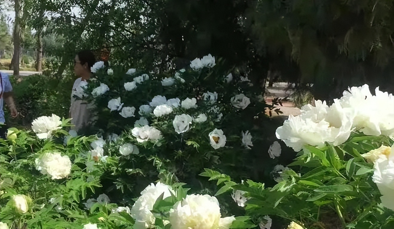 西夏区精品旅游路线,西夏区游玩热门推荐