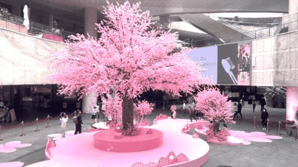 深圳人喜欢逛山姆店,深圳人喜欢逛步行街吗