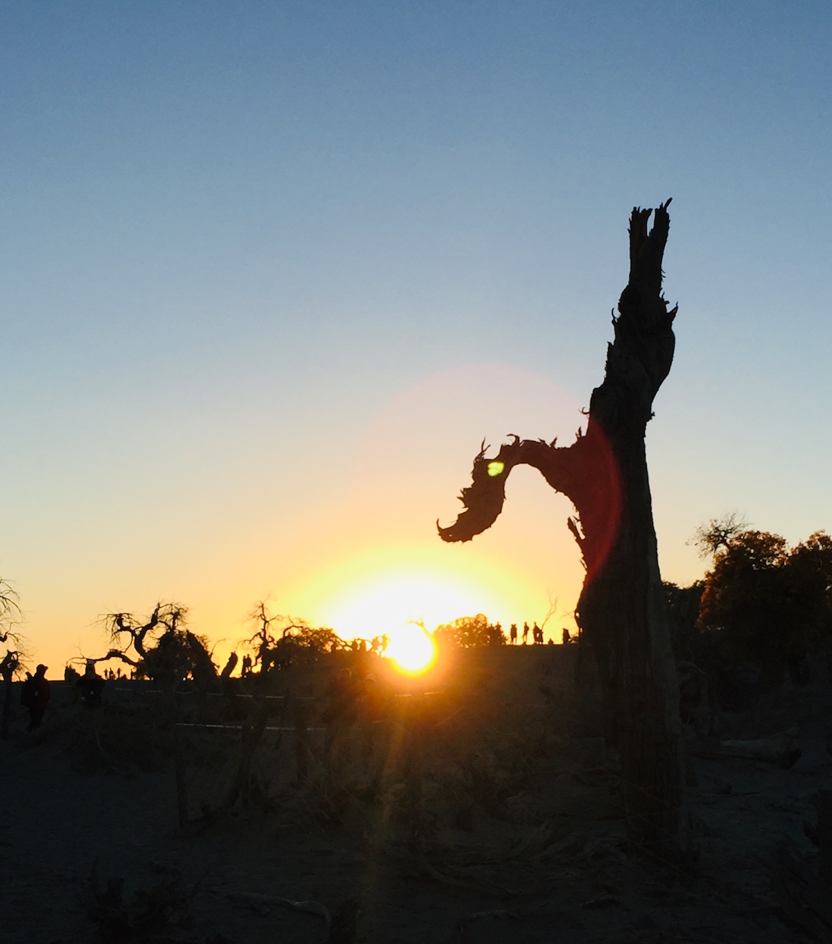 北京自驾额济纳胡杨林十天攻略,从北京到额济纳胡杨林线路