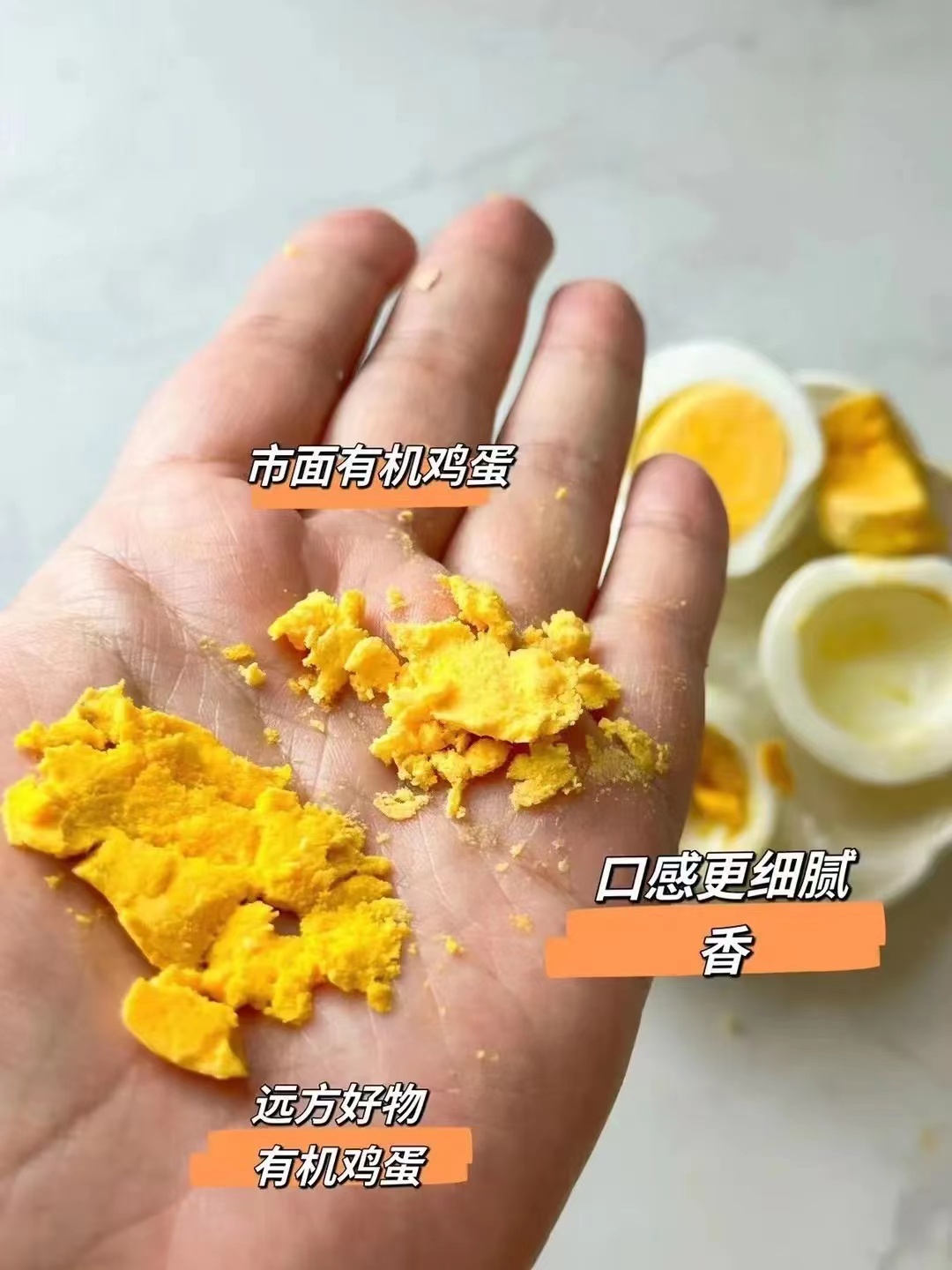 有机鸡蛋土鸡蛋,有机鸡蛋和土鸡蛋的区别