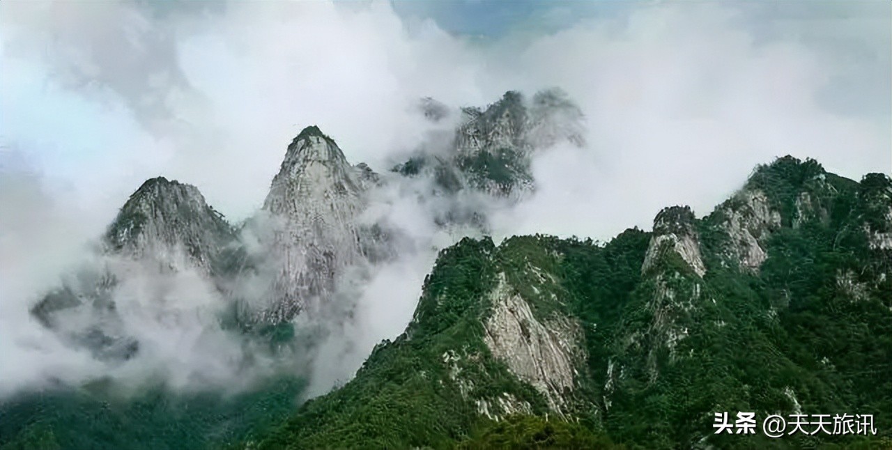 安徽天然氧吧地区名单,安徽最好的天然氧吧景区