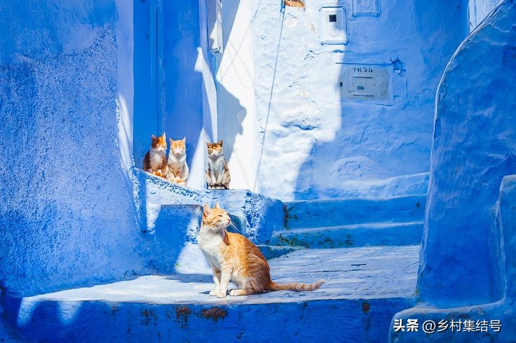 摩洛哥蓝色的小镇叫什么名字,摩洛哥旅游小镇