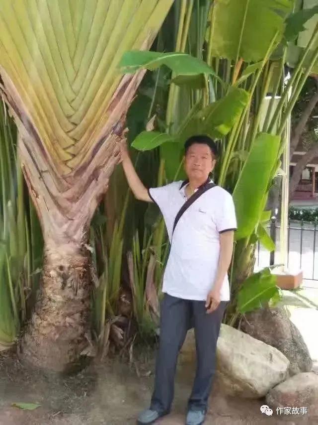 左顺孝作品,左顺孝