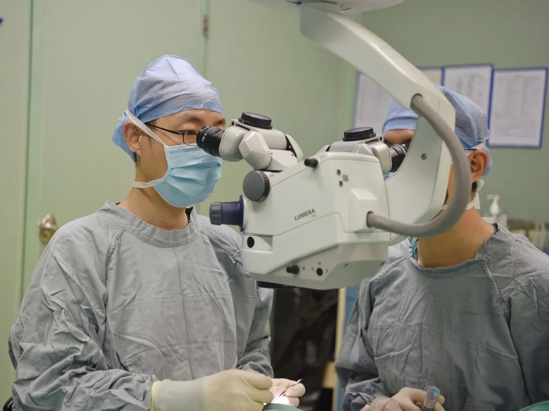 我走进西藏,我走进撒哈拉沙漠