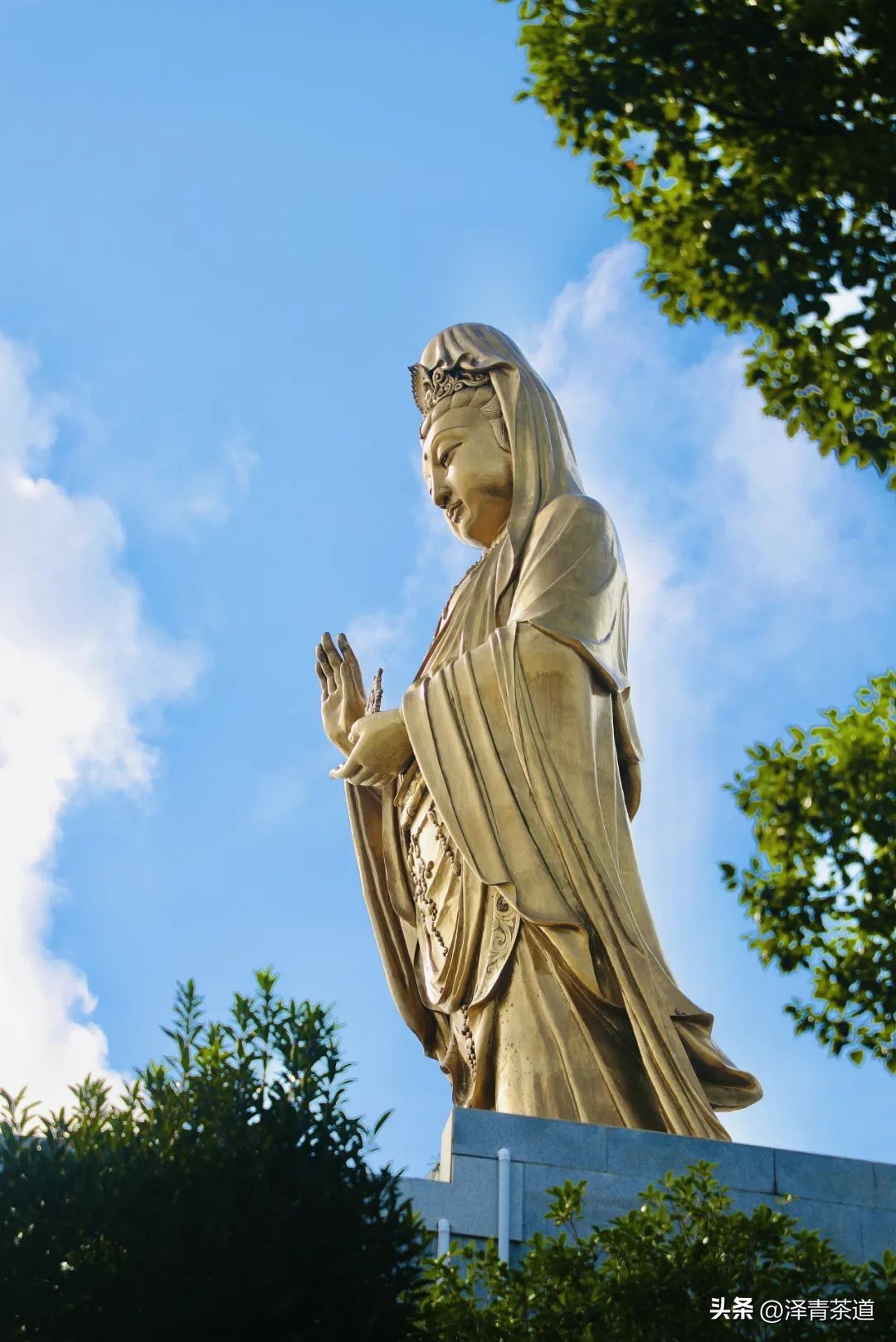 “自古名寺出名茶”，什么样的茶才能称为禅茶呢？