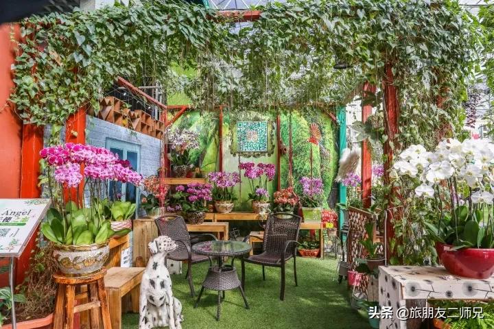 广州去佛山旅游攻略路线,广州到佛山旅游攻略一日游