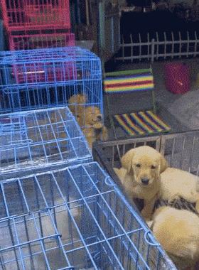 轻松一刻别跟我耍心眼,轻松一刻看你能找出几处不同