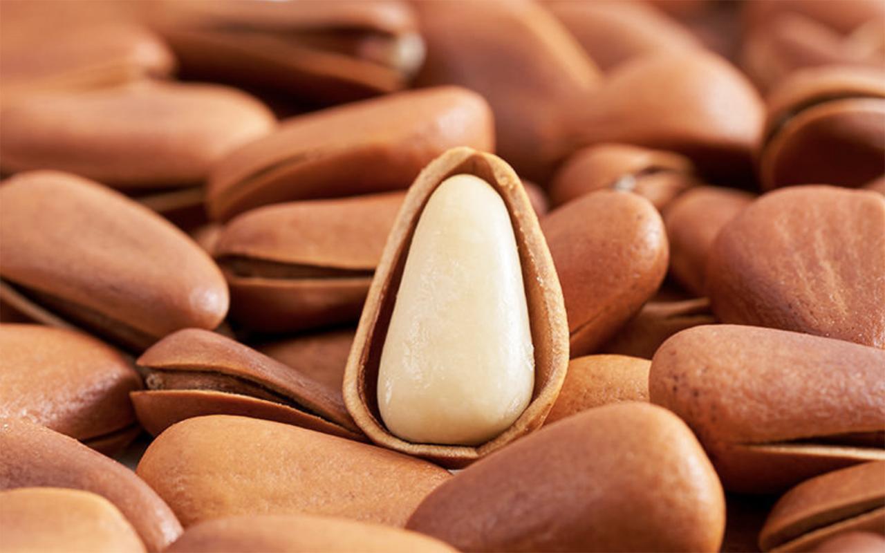 热量高抗寒的食物,热量高的食物水果有哪些