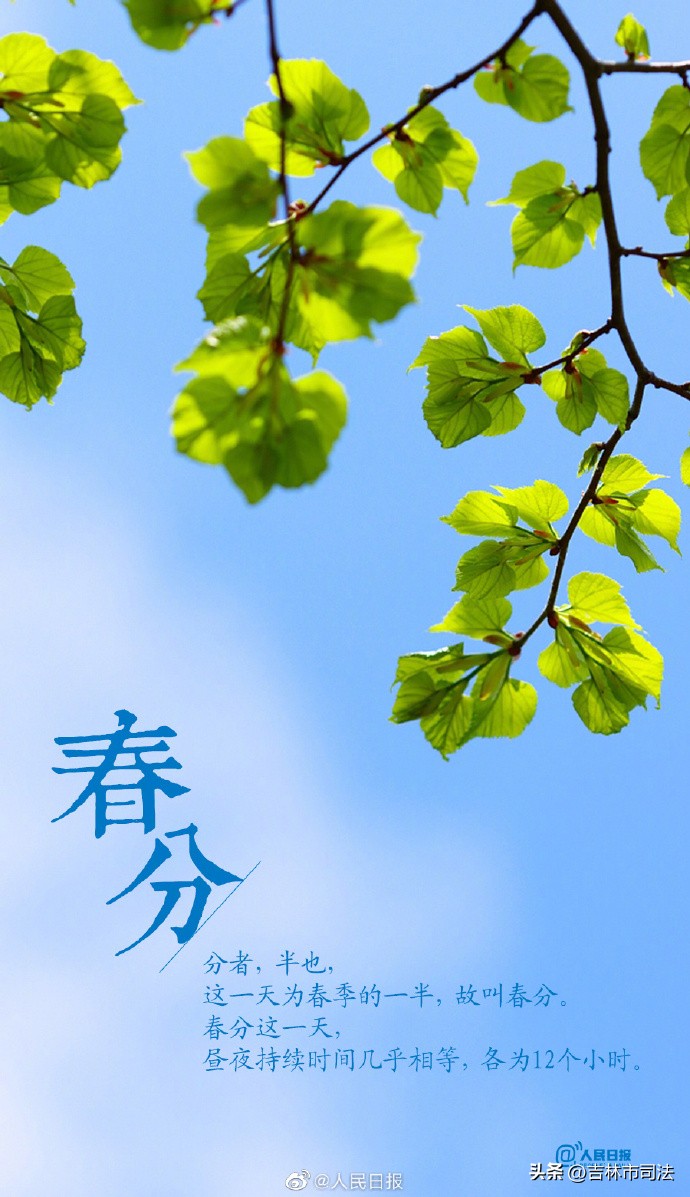 今日春分春暖花开,今日春分不负好春光